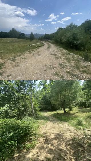 Teren de 1000 mp, în Breaza de Sus