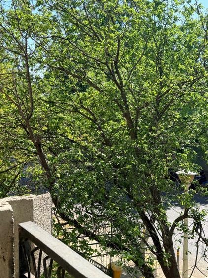 Apartament cu 2 camere decomandat în Viilor