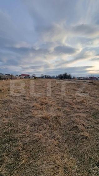 Teren Construcții intravilan de 6133 mp, în Horodnic