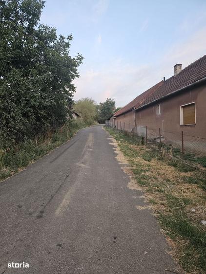 Teren intravilan Cetariu 2000m - 7