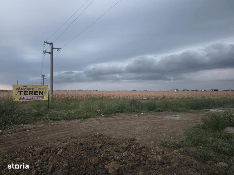 Teren intravilan in orasul Magurele, la limita cu Bucurestiul - 3