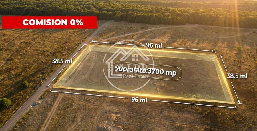 Teren Voluntari-Pipera | 3.700mp | Zonă Pădure & Școli Internaționale - 1