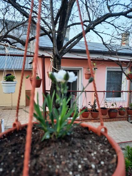 Casă cu 4 camere în Exterior Vest