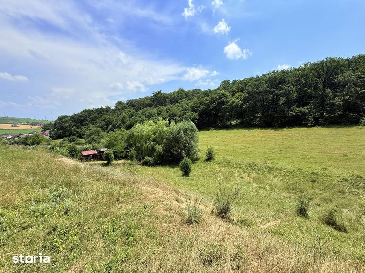 Teren de 2500 mp, în Sântana de Mureș