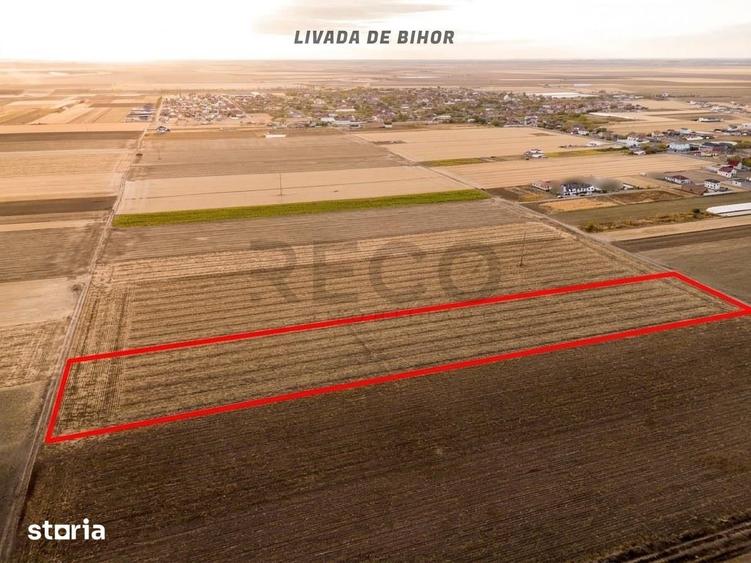 Teren de 17265 mp, în Nojorid