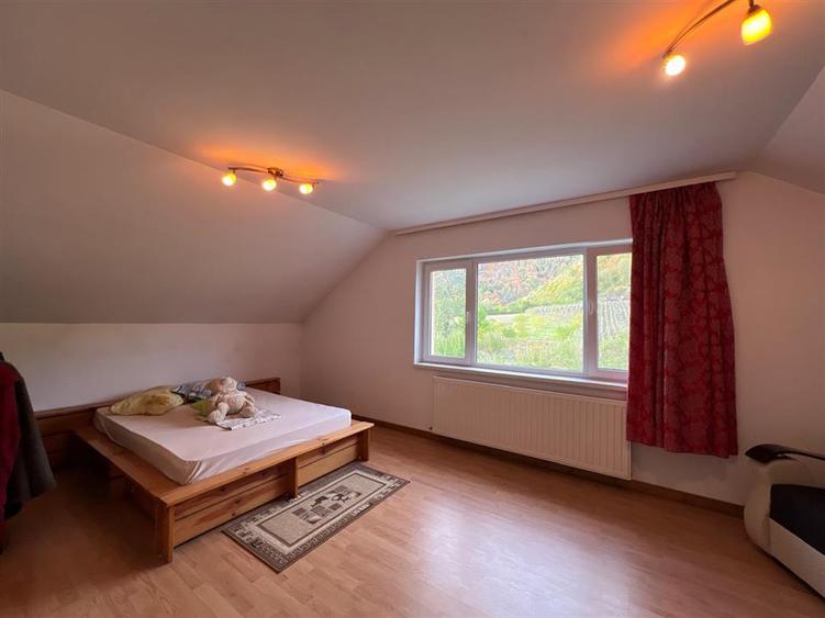 Casă individuală cu 6 camere cu Teren 5700 Mp în Cicârlău