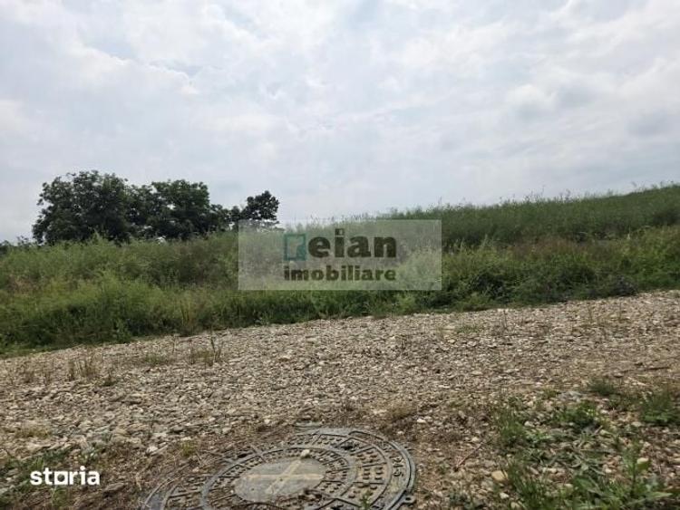 Ciolpani - Teren La Liziera Padurii 1234 Mp, Dn1 Toate Utilitatile - 3