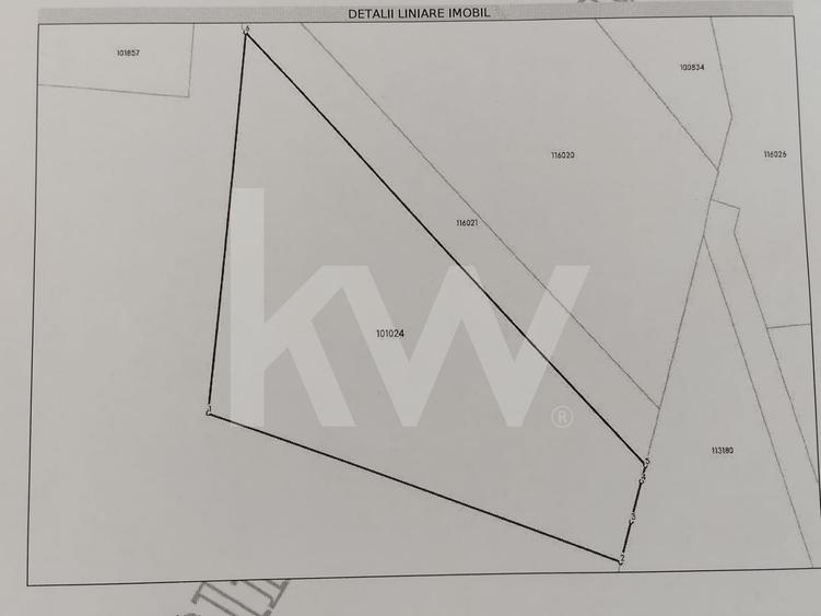 Teren Construcții intravilan de 977 mp, în Cisnădioara