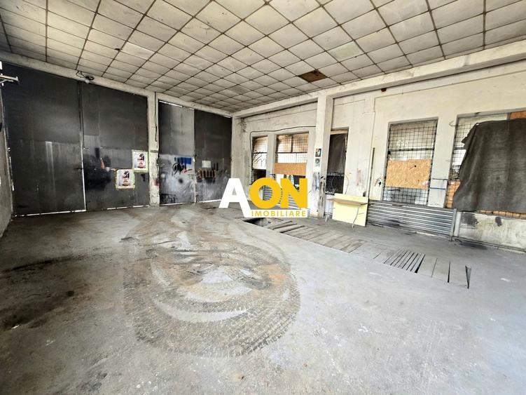 Spațiu industrial, de 100 mp, în Bărăbanț