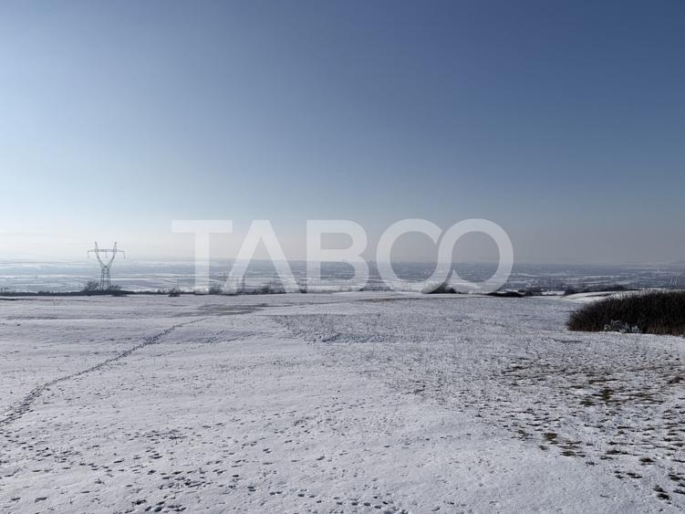 Teren Construcții intravilan de 40300 mp, în Daia