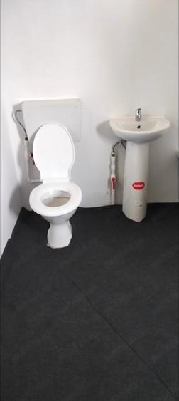 Casă cu 3 camere cu Teren 2500 Mp în Băneasa