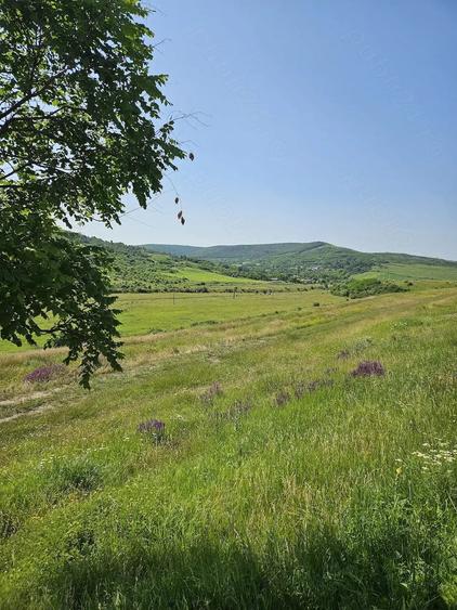 Teren de 7200 mp, în Crețești