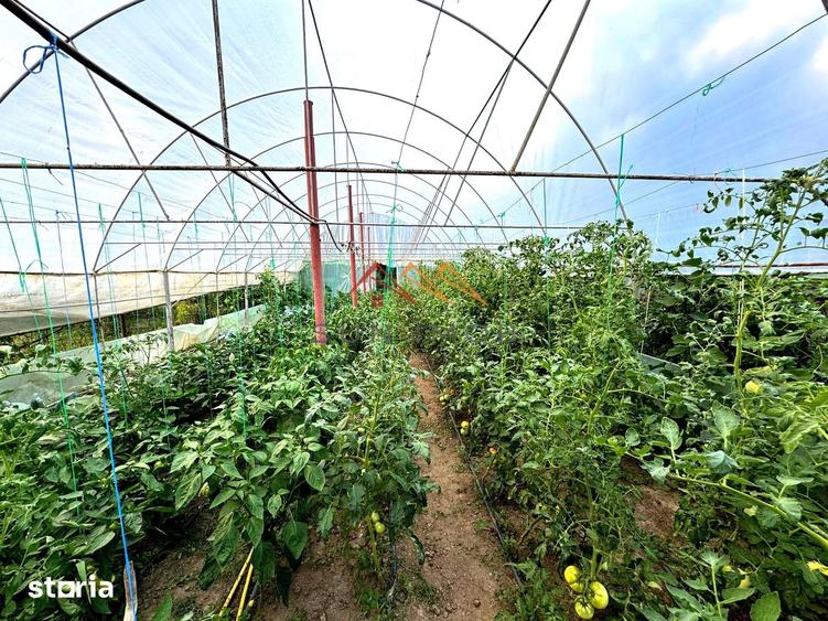 Casă cu 6 camere cu Teren 781 Mp în Valea