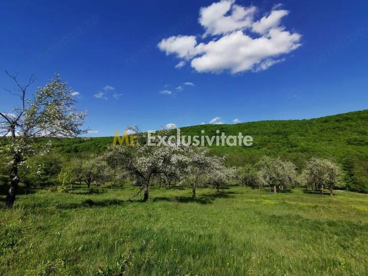 Teren de 680 mp, în Budeasa
