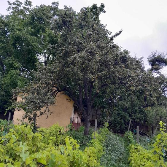 Casă cu 4 camere în Cozia