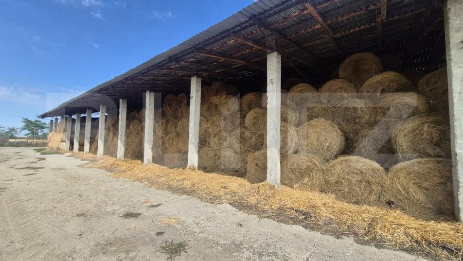 Spațiu industrial, de 1,800 mp, în Lazuri