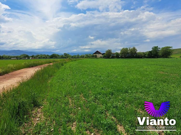 Teren agricol extravilan de 500 mp, în Turnișor