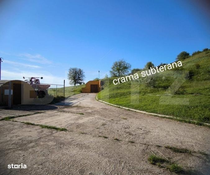 Spațiu comercial, de 450 mp, în Radovan