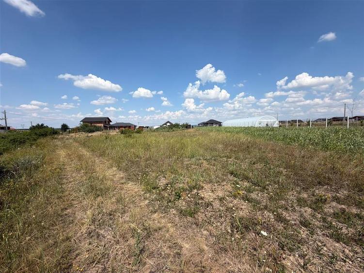 Teren intravilan de 1044 mp, în Cihei