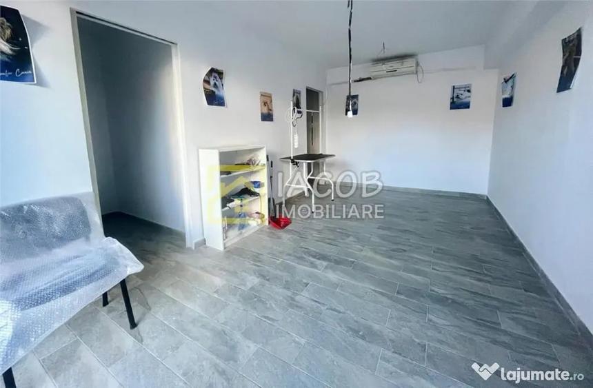 Spațiu comercial, de 250 mp, în Mioriței