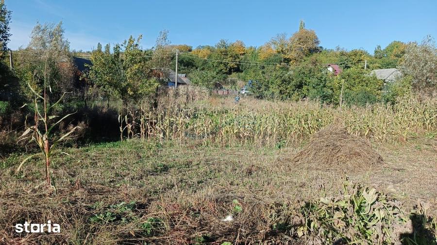 Teren de 3400 mp, în Horodnic