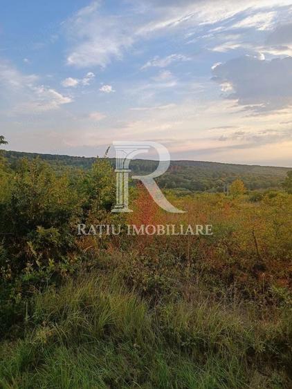 Teren agricol extravilan de 5755 mp, în Hidișelu de Sus
