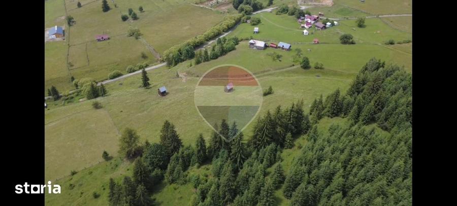 Teren de 33364 mp, în Dorna Candrenilor