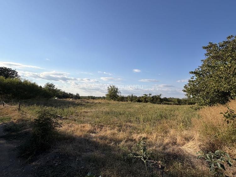 Teren intravilan de vanzare Leu- Dolj