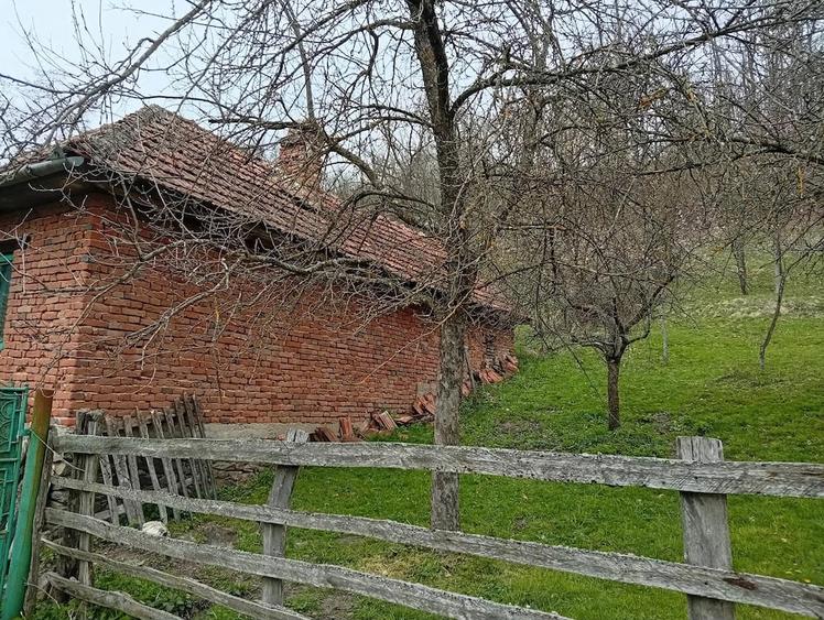 Casă cu Teren 7000 Mp în Poieni (Densuș)
