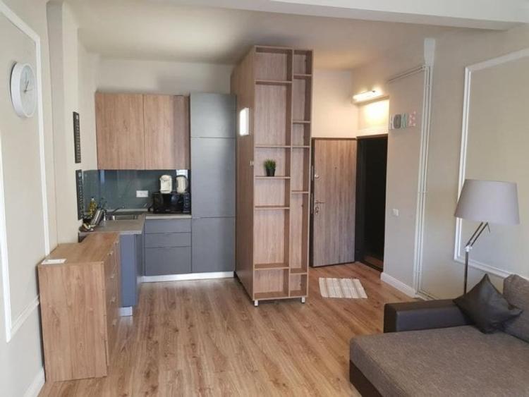 Apartament cu 2 camere semidecomandat, mobilat în Romană