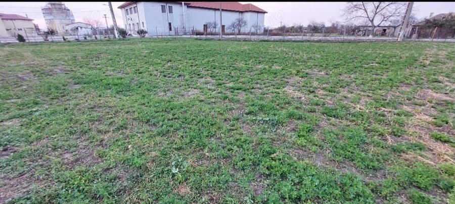 Teren de 1260 mp, în Ceamurlia de Jos