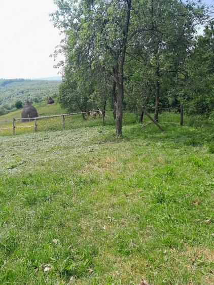 Casă cu Teren 3850 Mp în Roșia