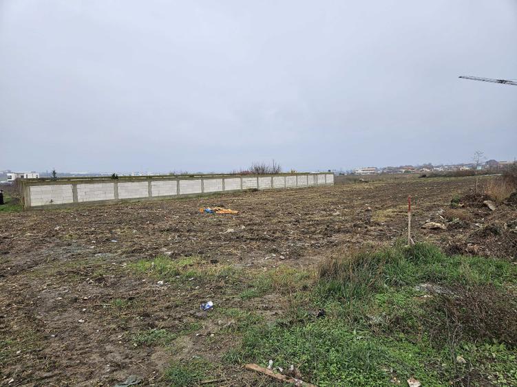 Teren de 2500 mp, în Palazu Mare