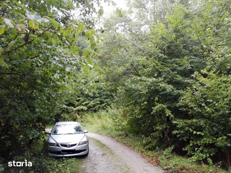 Teren de 5700 mp, în Râu de Mori