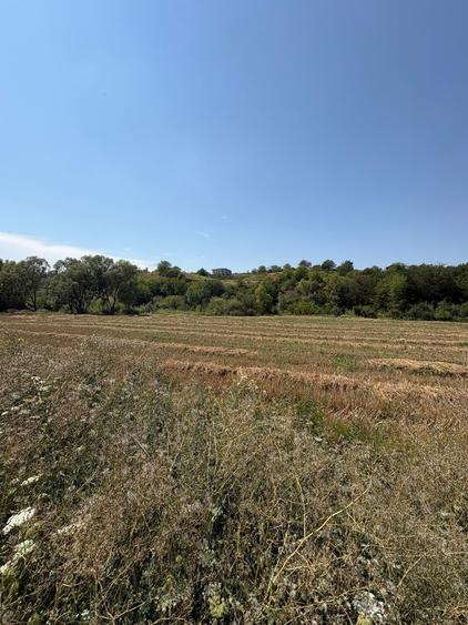 Teren Construcții intravilan de 775 mp, în Ortelec