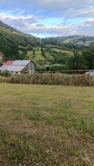 Teren intravilan cu casa veche si anexa de vanzare - 8