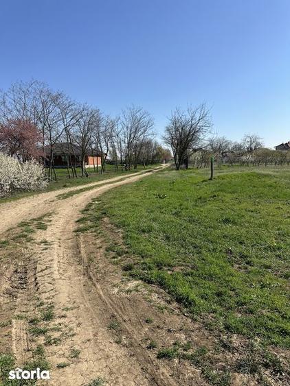 Teren de 3900 mp, în Gepiu