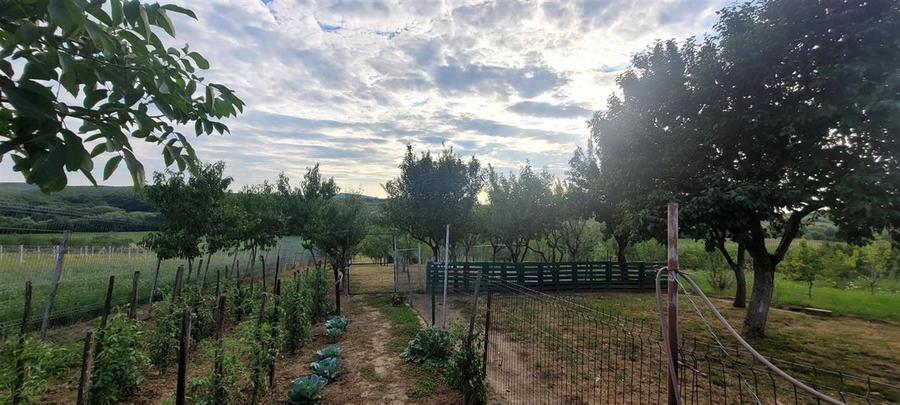 Casă cu 5 camere cu Teren 3316 Mp în Felcheriu
