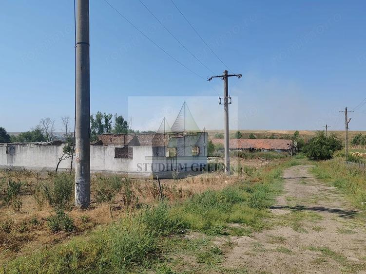 Teren de 9795 mp, în Rădoiești