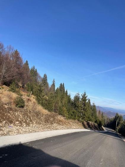 Teren de 3617 mp, în Rogojel