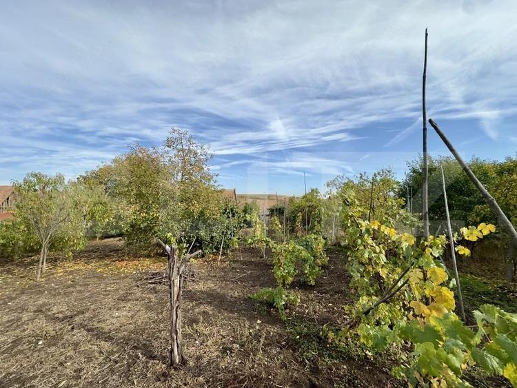 Casă cu Teren 1220 Mp în Central