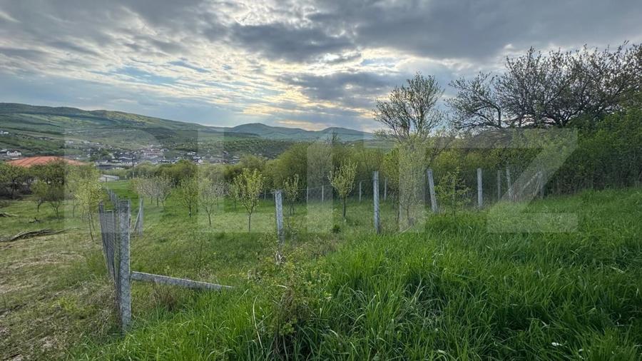 Teren extravilan de vanzare, 2.670 mp, Bistrita - 5