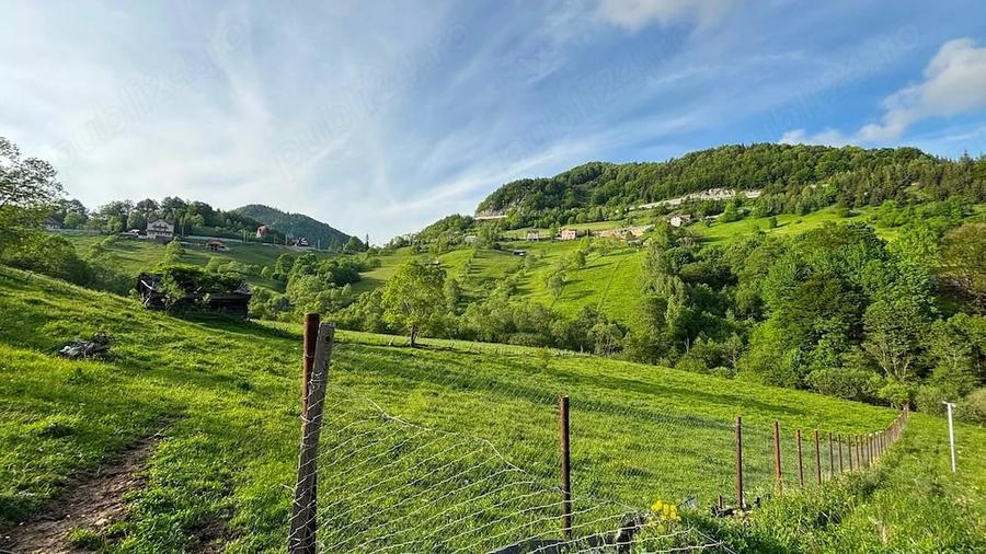 Teren de 4000 mp, în Dâmbovicioara
