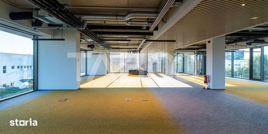 Birouri premium in SibiuSpatii flexibile moderne pentru companii - 15