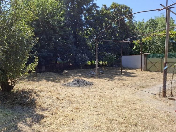 Casă cu 2 camere în Tileagd