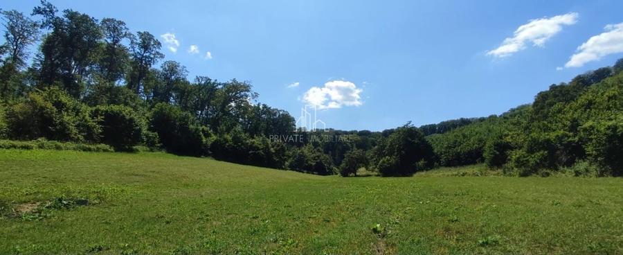 Teren agricol extravilan de 20 mp, în Daneș