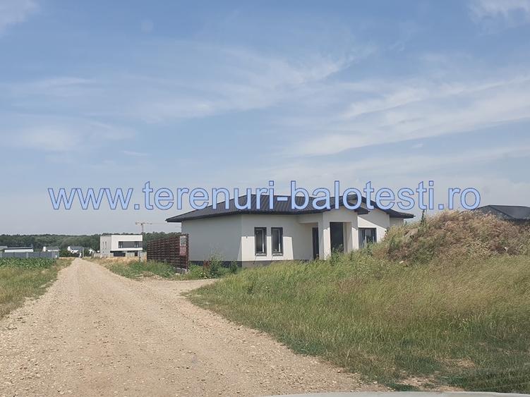 Teren Balotesti,padure Sri,19500 euro - 2