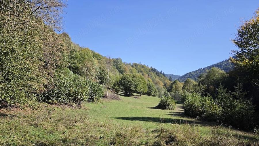 Teren de 4492 mp, în Tarcău