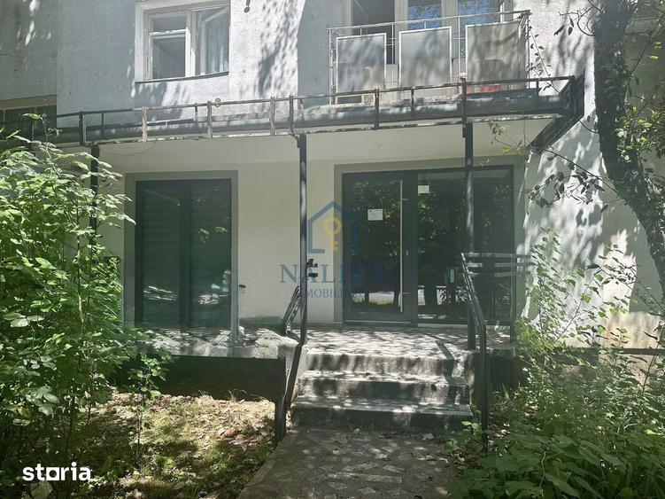Spațiu comercial, de 65 mp, în Săsar