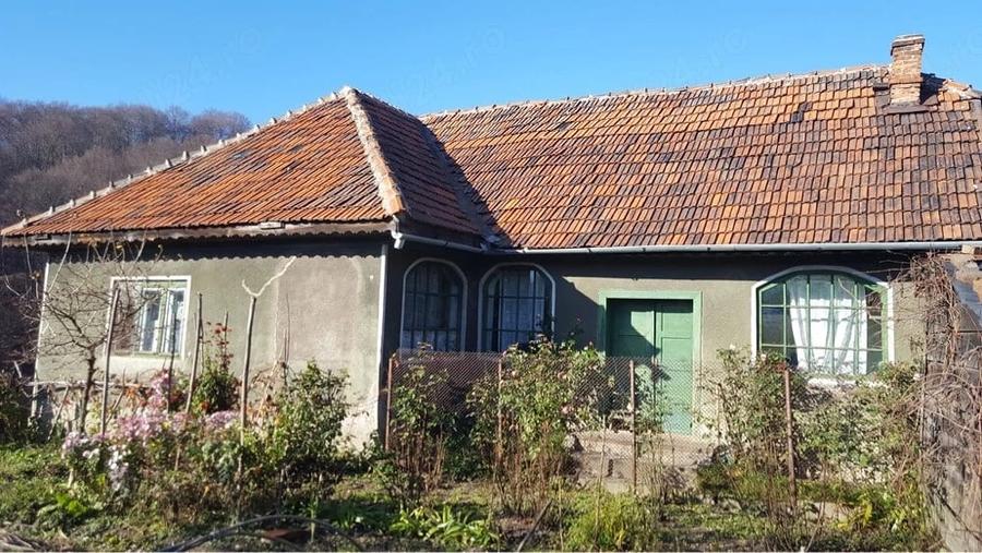 Casă cu 3 camere cu Teren 20000 Mp în Central